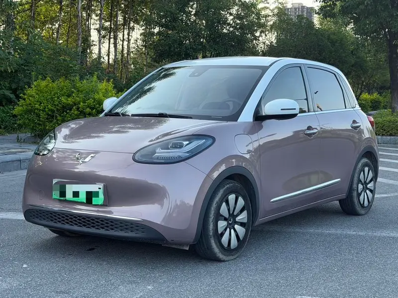 Wuling Bingo, 2023