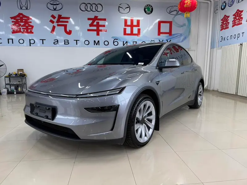 Tesla Model Y Long Range AWD Edition, 2025 — фото 1