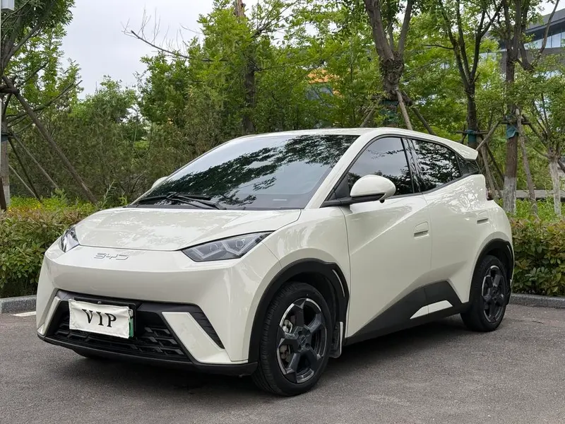 BYD Seagull, 2024