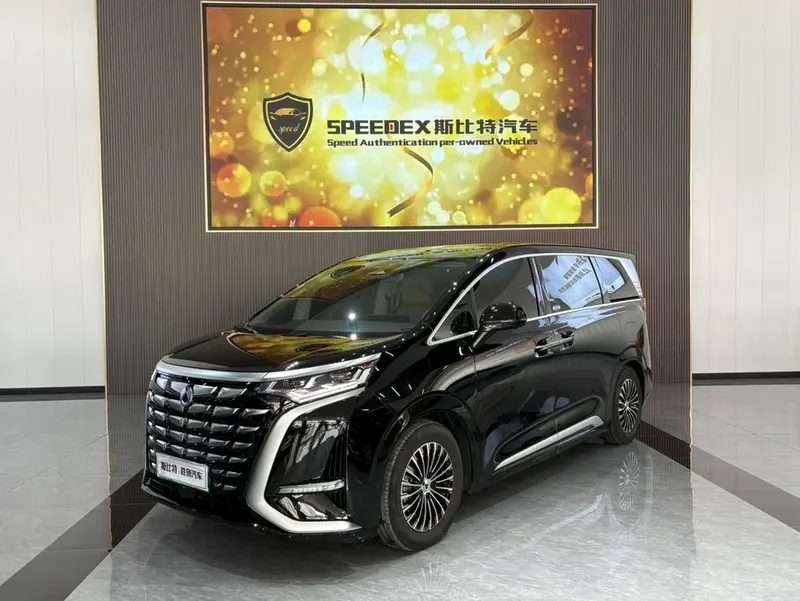 Denza D9 DM 980 4WD Premium Version, 2024 — фото 1
