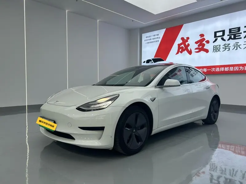 Tesla Model 3 (Import) Standard Range RWD Upgraded Edition, 2019 — фото 1
