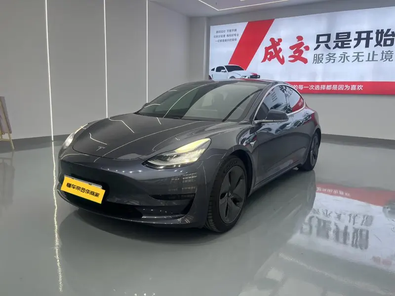 Tesla Model 3 Standard Range RWD Upgraded Edition, 2019 — фото 1