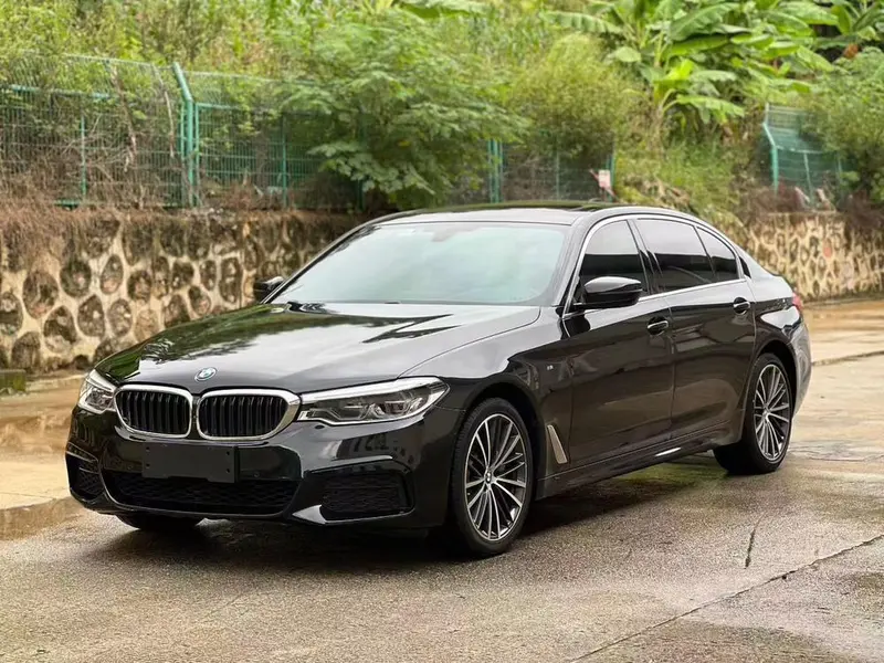 BMW 5-Series, 2020
