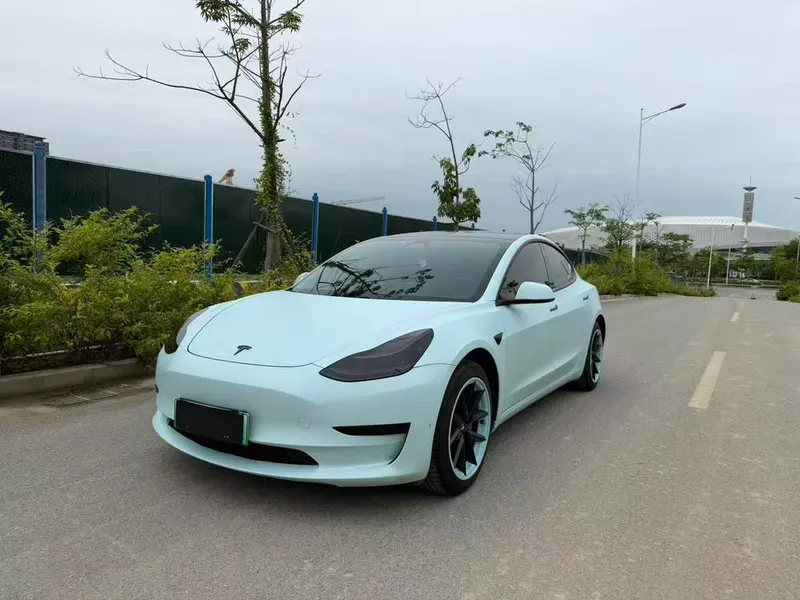 Tesla Model 3 Standard Range RWD Upgraded Edition, 2020 — фото 1