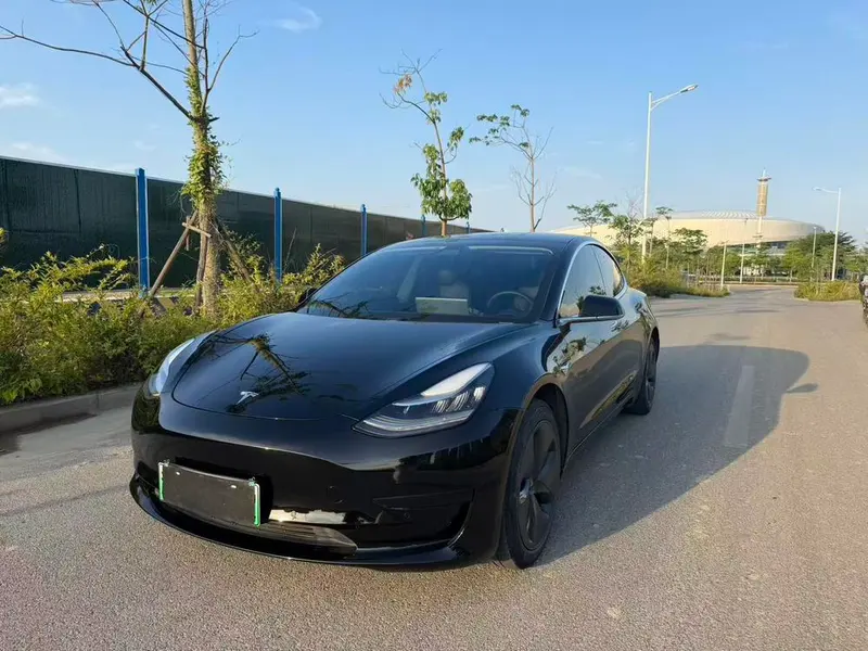 Tesla Model 3 Standard Range RWD Upgraded Edition, 2020 — фото 1