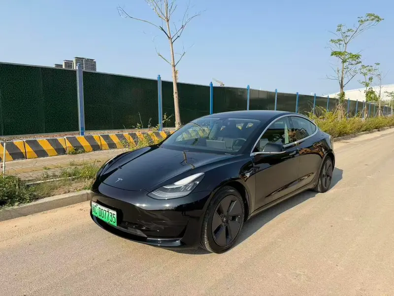 Tesla Model 3 Standard Range RWD Upgraded Edition, 2020 — фото 1