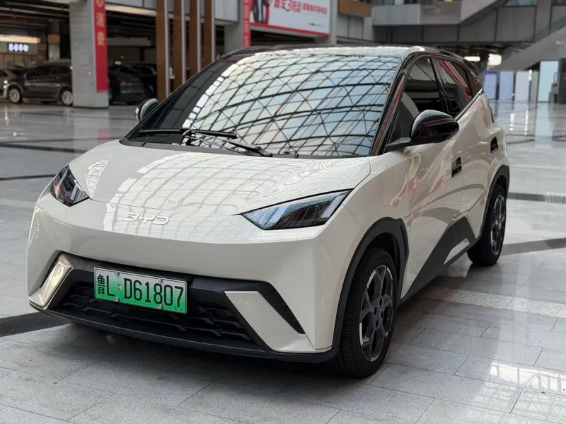 BYD Seagull, 2025