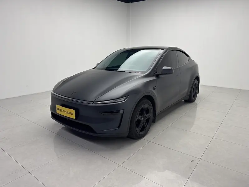 Tesla Model Y Long Range AWD Edition, 2025 — фото 1