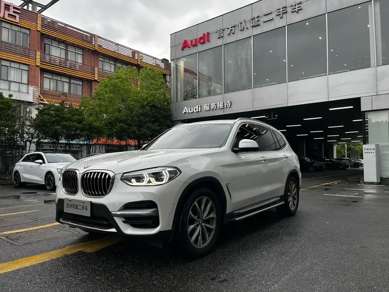 BMW X3 xDrive25i Luxury, 2019 — фото 1