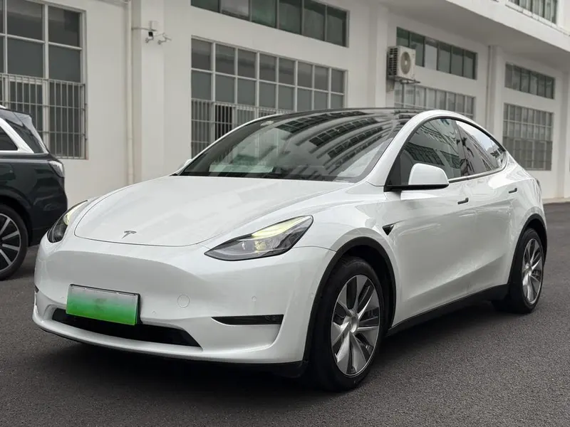 Tesla Model Y Long Range AWD Edition, 2021 — фото 1