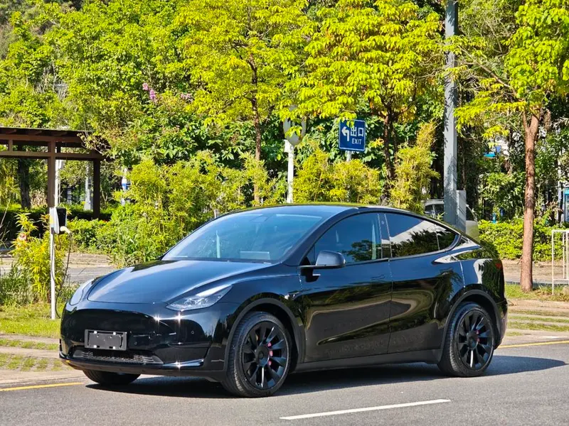 Tesla Model Y Edition, 2022 — фото 1