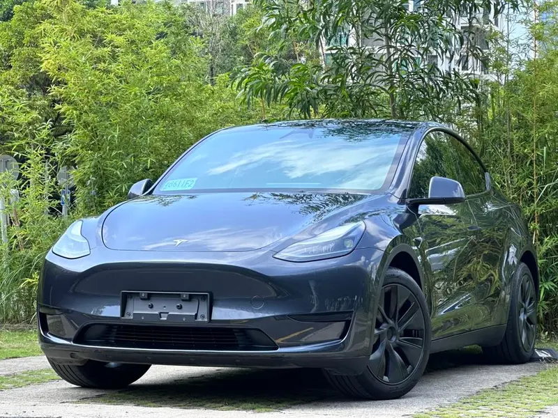 Tesla Model Y Edition, 2024 — фото 1
