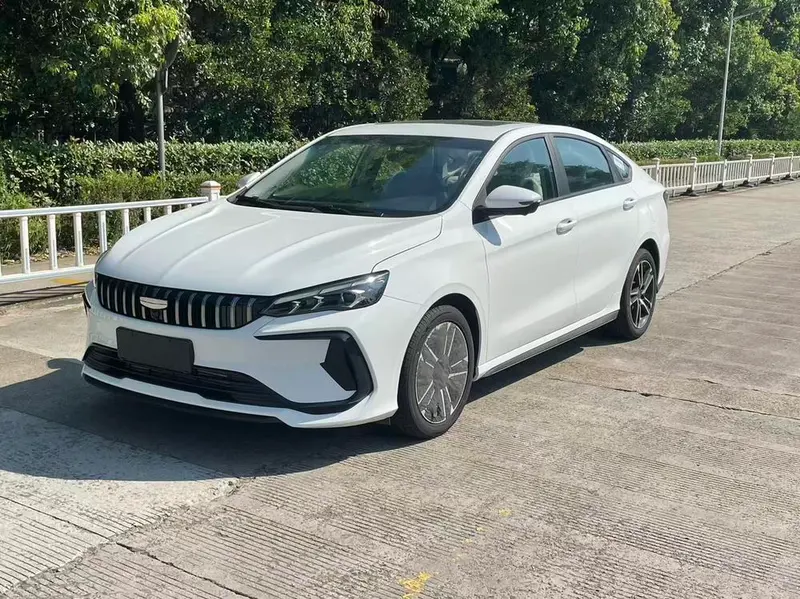 Geely Binrui, 2024