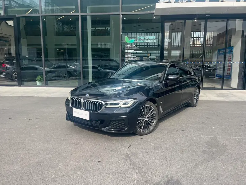 BMW 5-Series 530Li Leading Version M Sport, 2022 — фото 1
