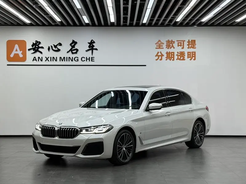 BMW 5-Series 530Li Leading Version M Sport, 2023 — фото 1