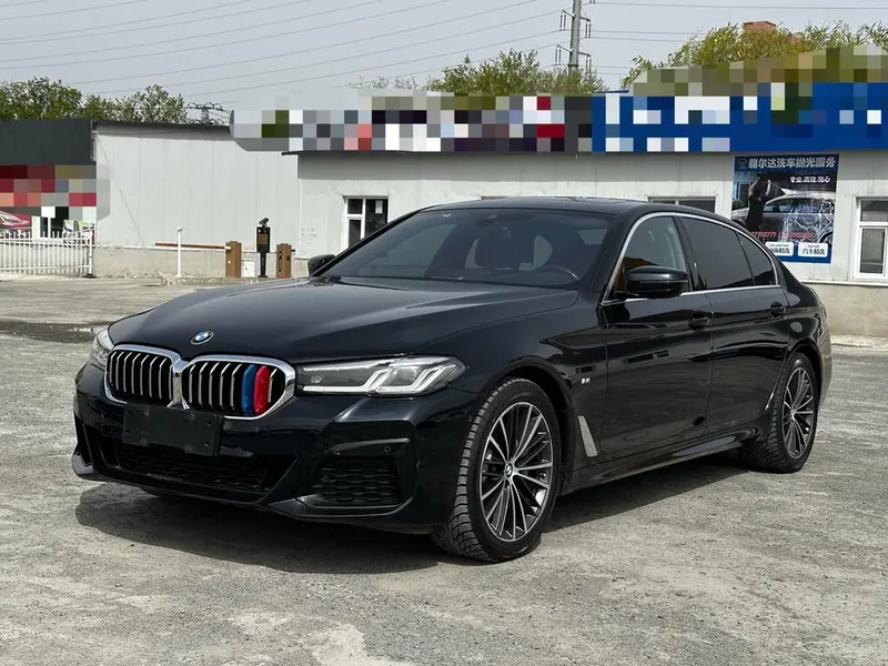 BMW 5-Series 530Li xDrive M Sport, 2021 — фото 1