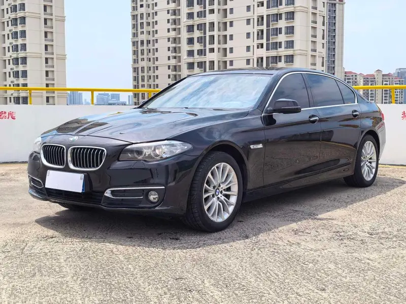 BMW 5-Series 525Li Luxury, 2014 — фото 1
