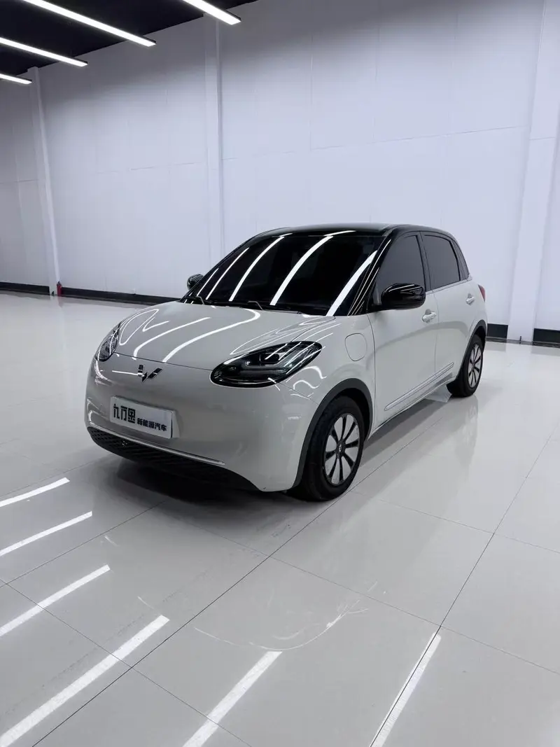 Wuling Bingo, 2023