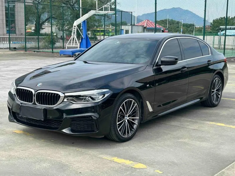 BMW 5-Series 530Li Prestige Version M Sport, 2020 — фото 1