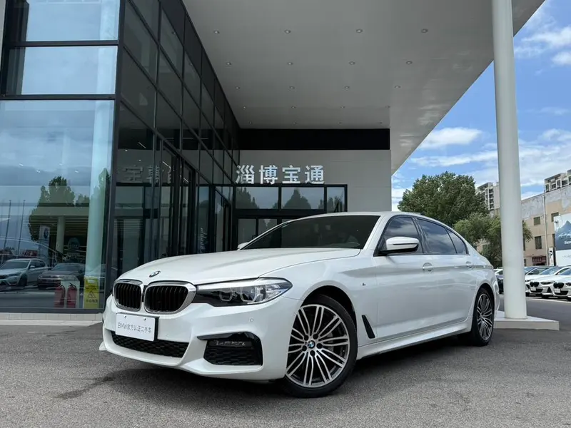 BMW 5-Series 530Li Leading Version M Sport, 2019 — фото 1