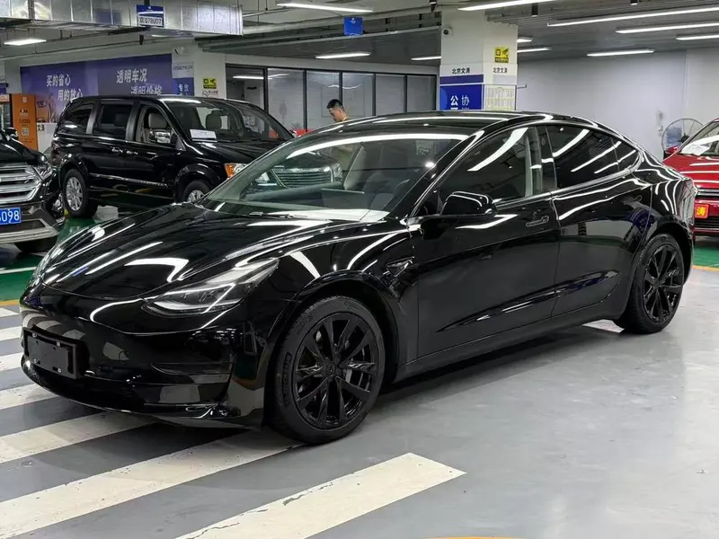 Tesla Model 3 Standard Range RWD Upgraded Edition, 2021 — фото 1