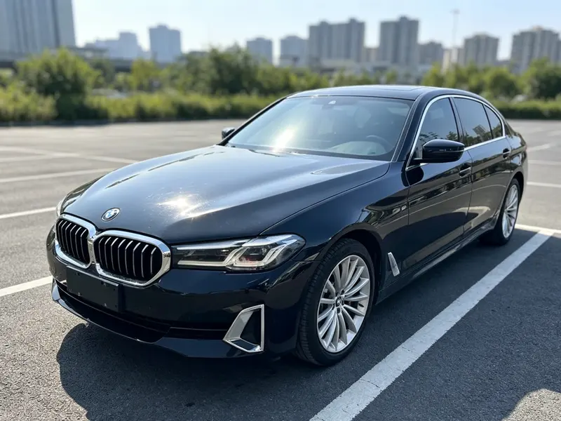 BMW 5-Series Facelift 530Li Prestige Version Luxury, 2021 — фото 1