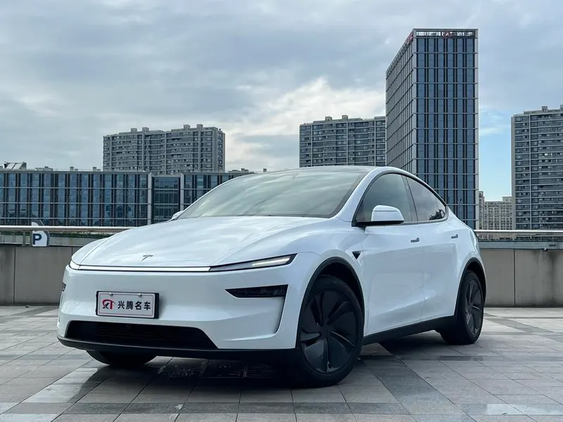 Tesla Model Y Edition, 2025 — фото 1