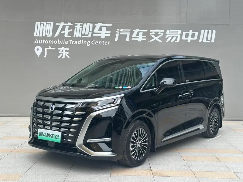 Denza D9 DM, 2024