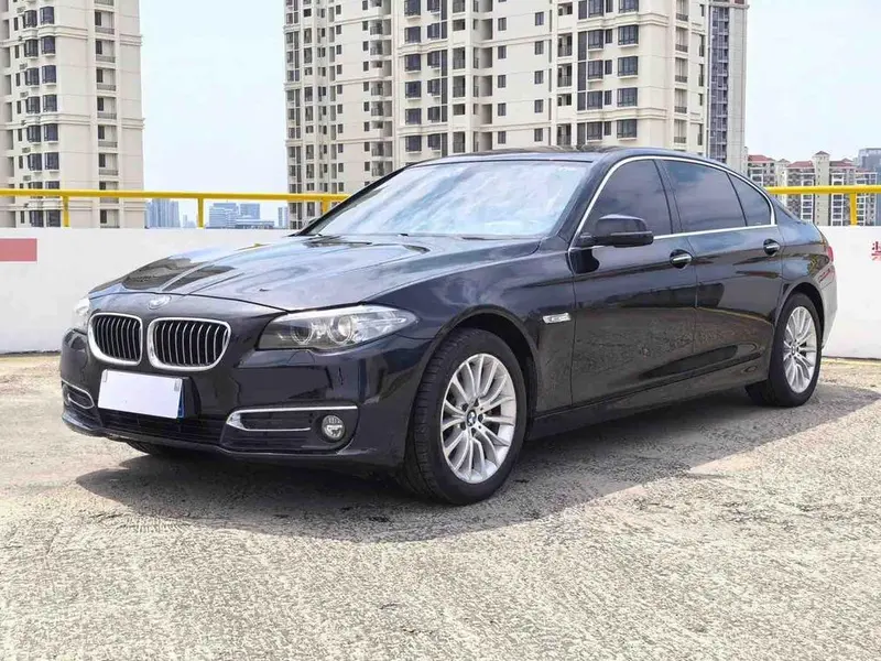 BMW 5-Series 525Li Leading Version, 2014 — фото 1