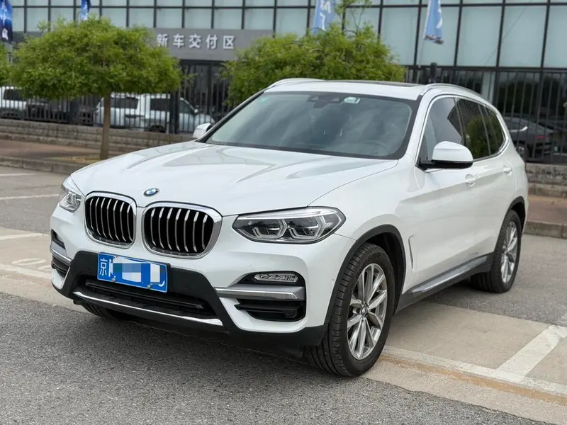 BMW X3 xDrive25i Luxury CN5, 2018 — фото 1