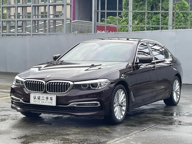 BMW 5-Series 530Li Leading Version Luxury, 2019 — фото 1