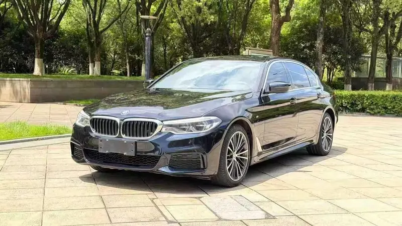 BMW 5-Series 530Li Leading Version M Sport, 2020 — фото 1
