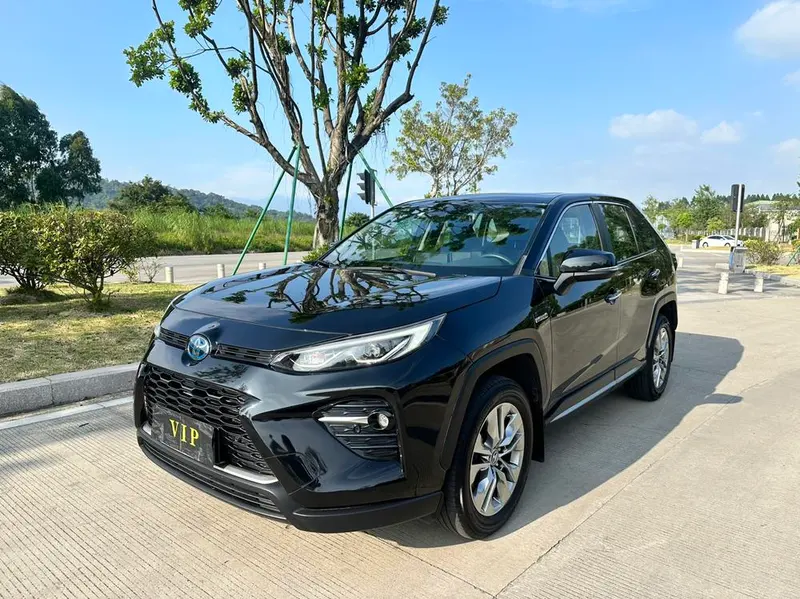 Toyota Wildlander, 2020
