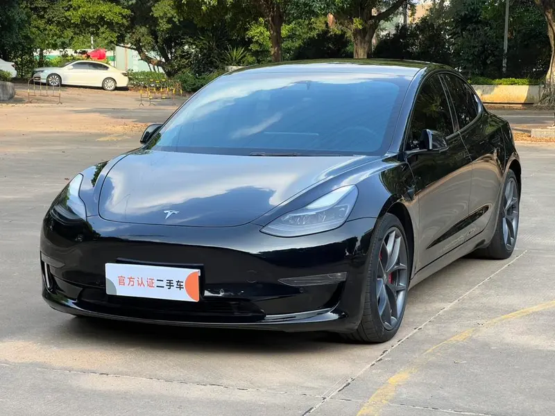 Tesla Model 3 Performance High Performance AWD Edition, 2021 — фото 1