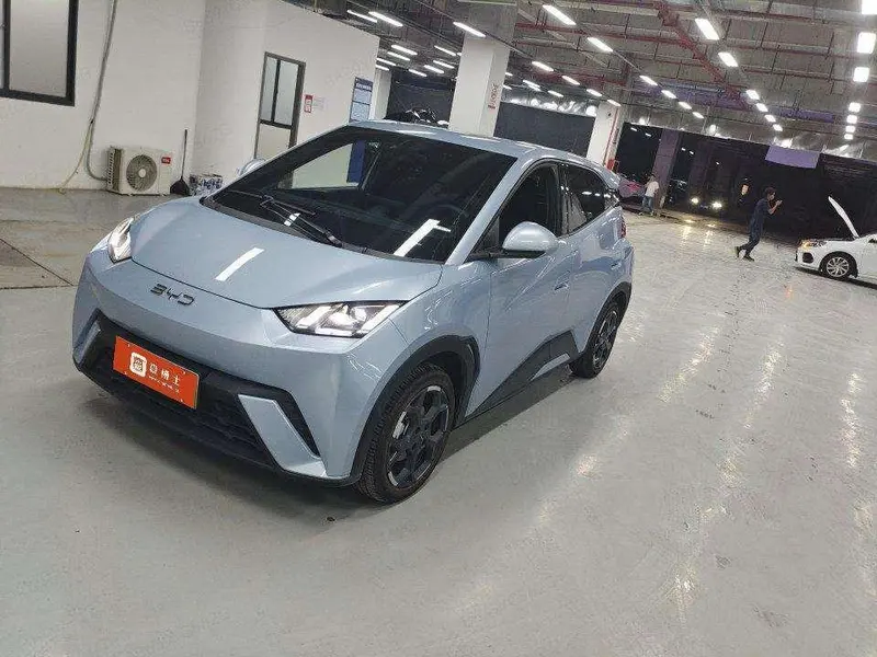 BYD Seagull, 2025