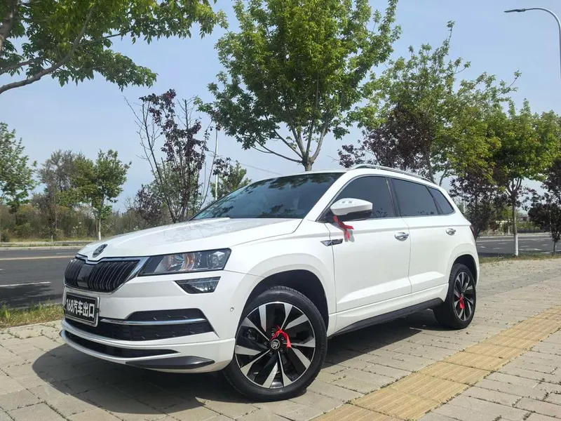 Skoda Karoq, 2022