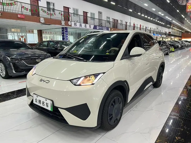 BYD Seagull, 2025