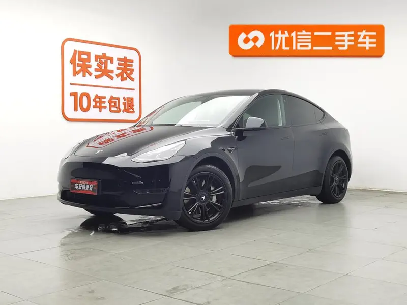 Tesla Model Y Standard Range Edition, 2021 — фото 1