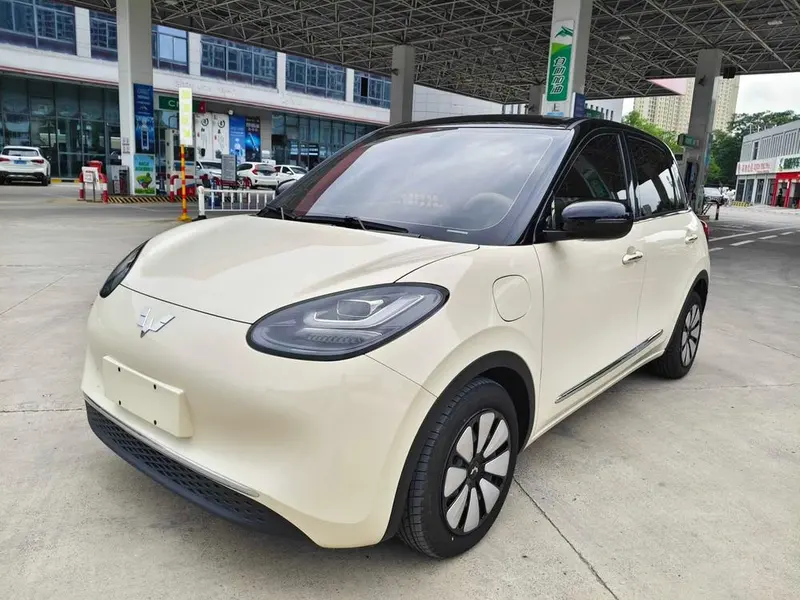 Wuling Bingo, 2025