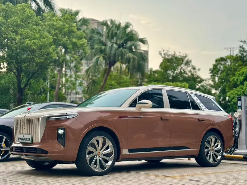 Hongqi E-HS9 510km Edition 4-Seater, 2020 — фото 1