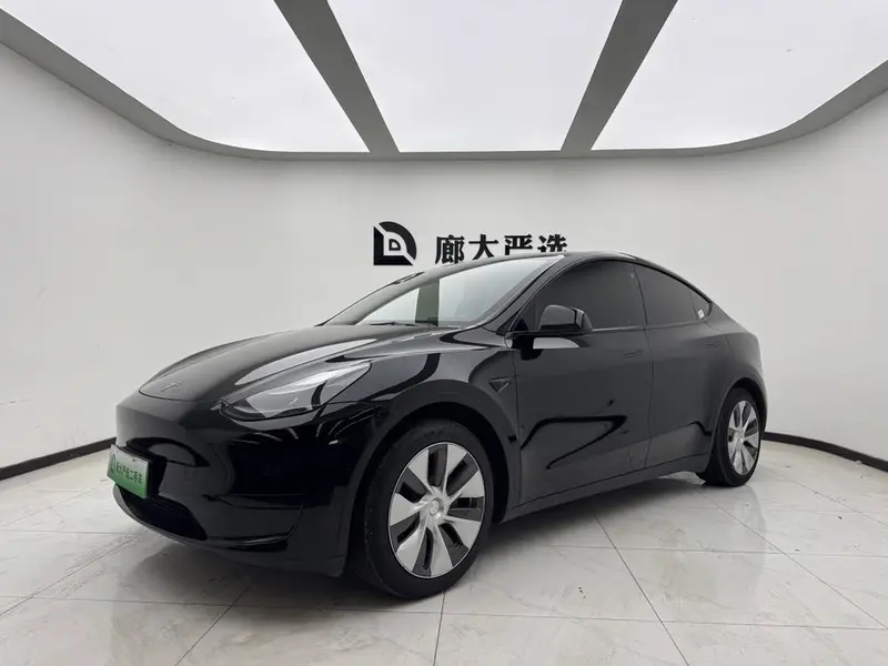 Tesla Model Y Edition, 2022 — фото 1