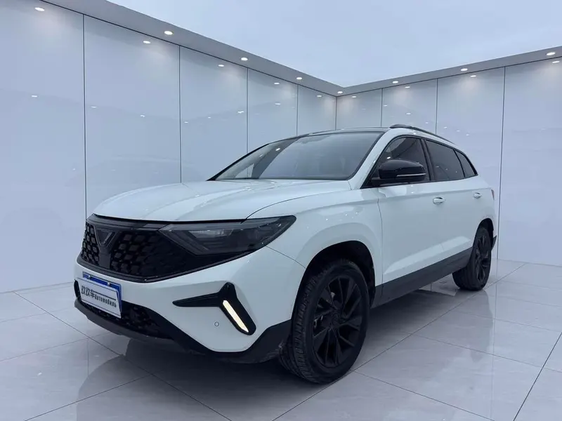 Jetta VS7, 2023