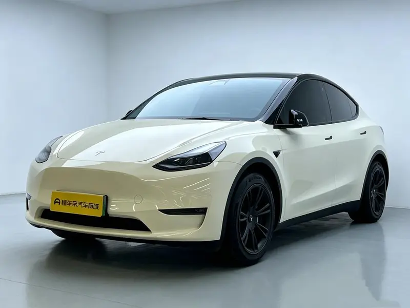 Tesla Model Y Standard Range Edition, 2021 — фото 1