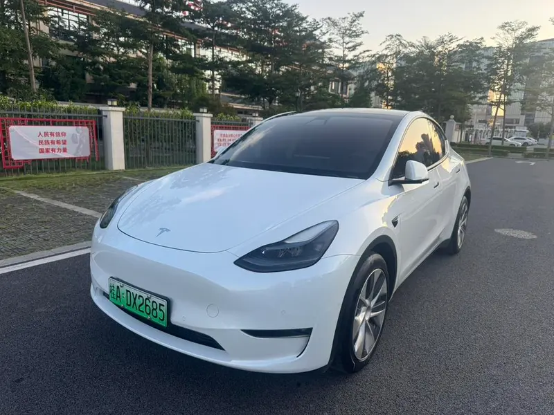 Tesla Model Y Standard Range Edition, 2021 — фото 1