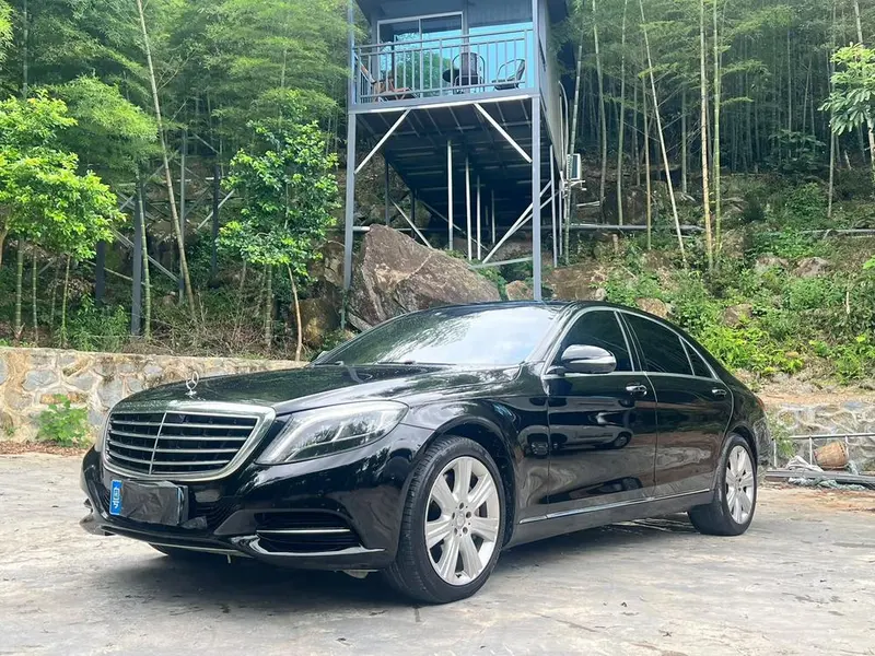 Mercedes-Benz S-Class S 400 L Luxury Version, 2014 — фото 1