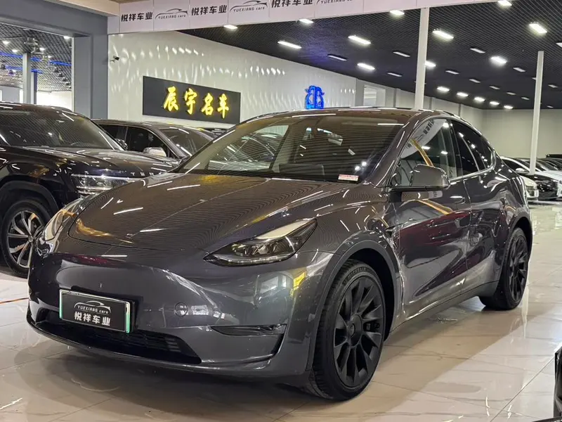 Tesla Model Y Long Range AWD Edition, 2021 — фото 1