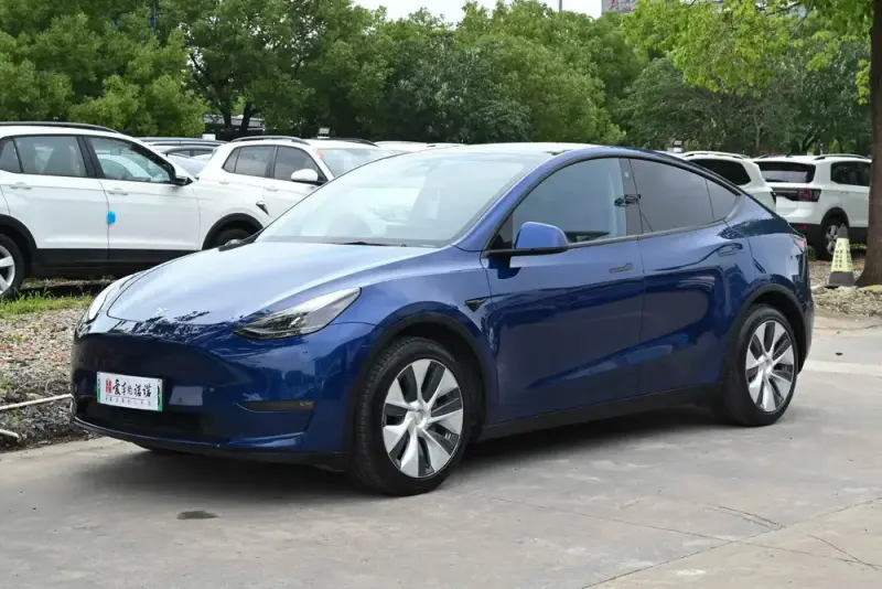 Tesla Model Y Long Range AWD Edition 3D3/3D7, 2021 — фото 1