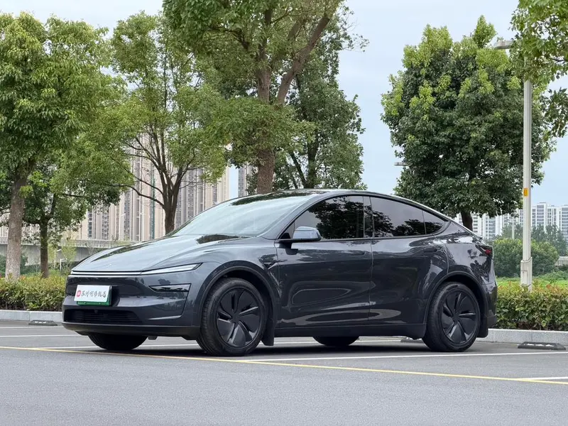 Tesla Model Y Long Range AWD Edition, 2025 — фото 1