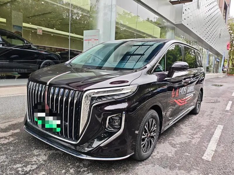 Hongqi HQ9 PHEV 4WD Luxury Edition, 2024 — фото 1