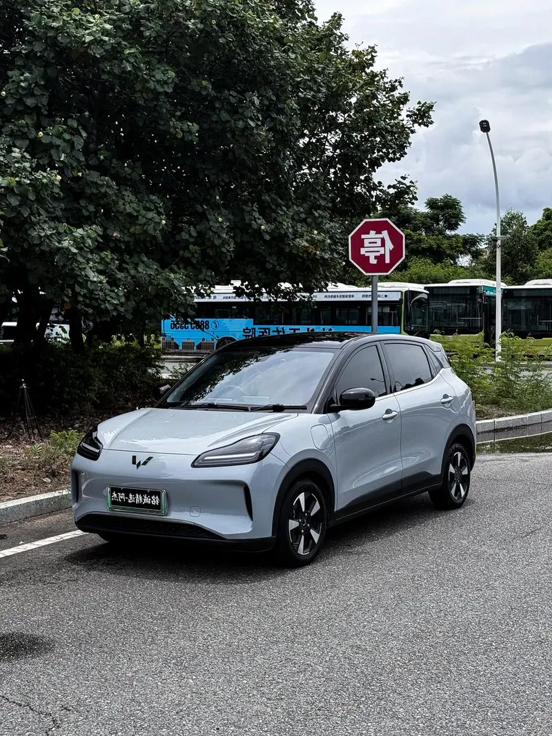 Wuling Bingo PLUS, 2024